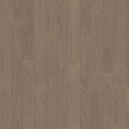 Life Collection in Earl Grey Wide