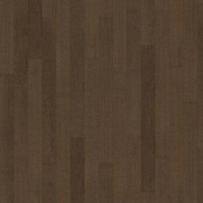 Life Collection in Cocoa Bean Narrow