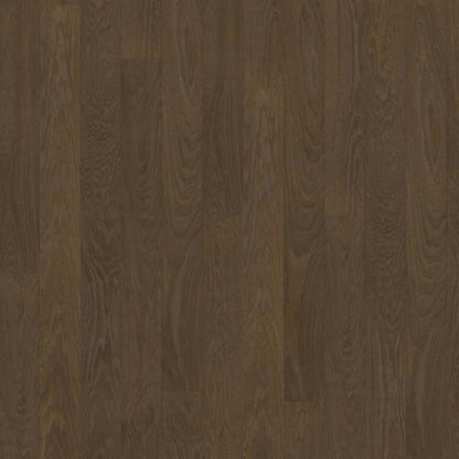 Life Collection in Cocoa Bean Wide