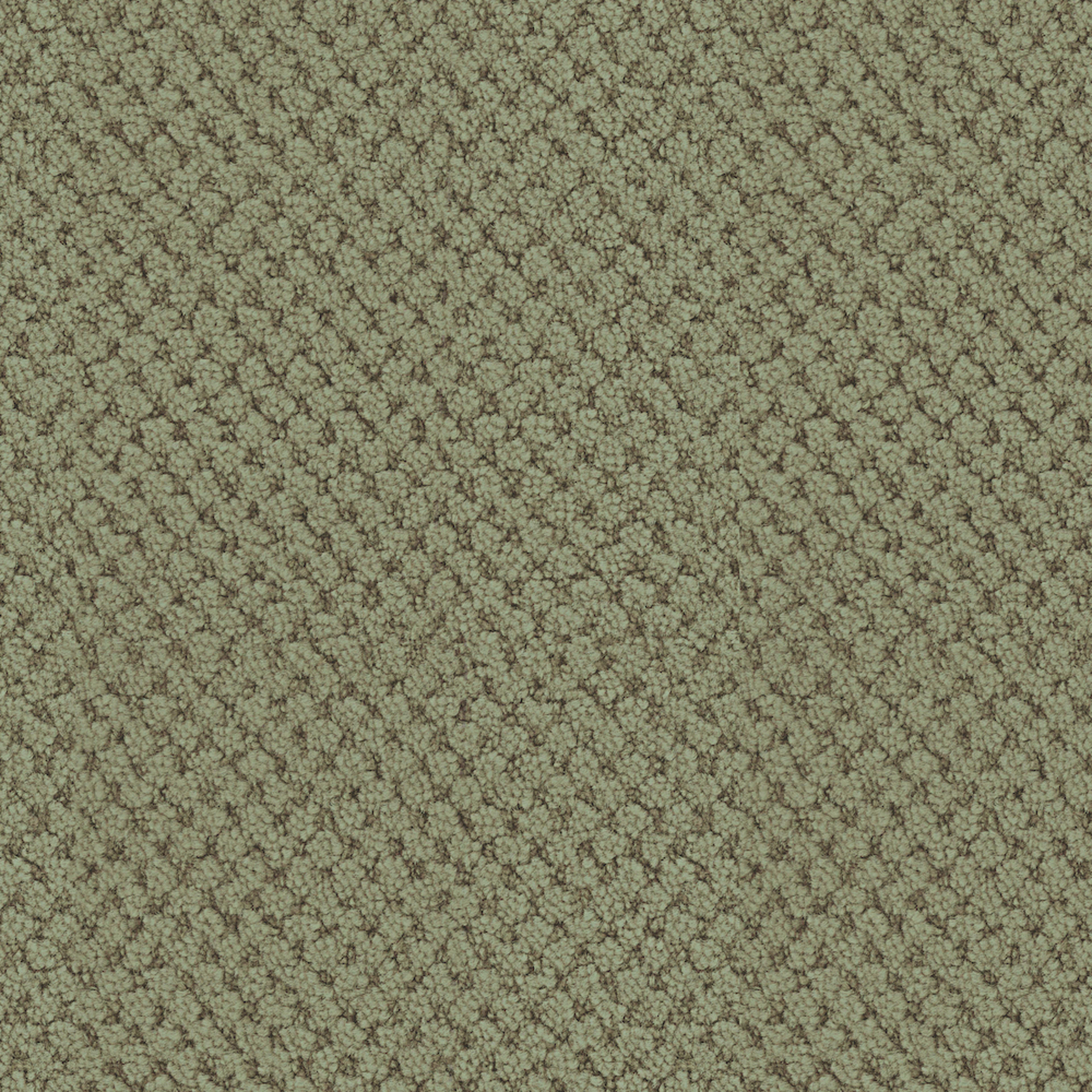 La Parade in Meadow Carpet