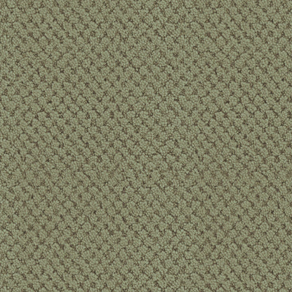 La Parade in Meadow Carpet