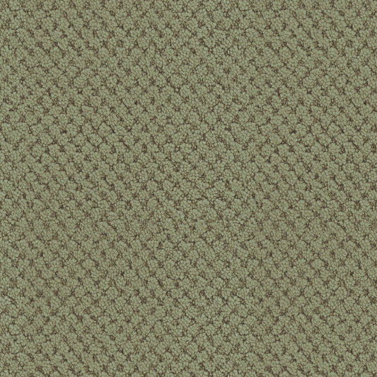 La Parade in Meadow Carpet