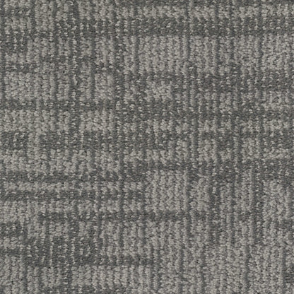 Lineage in Yorkie Carpet