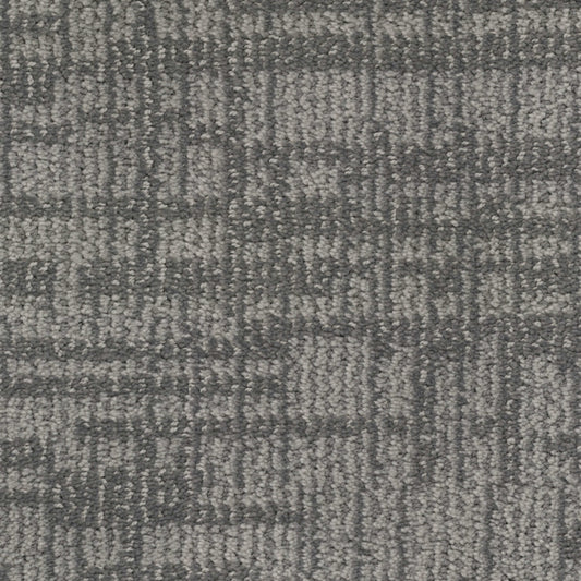 Lineage in Yorkie Carpet