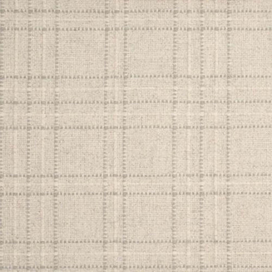 Pristine Plaid in Linen Carpet