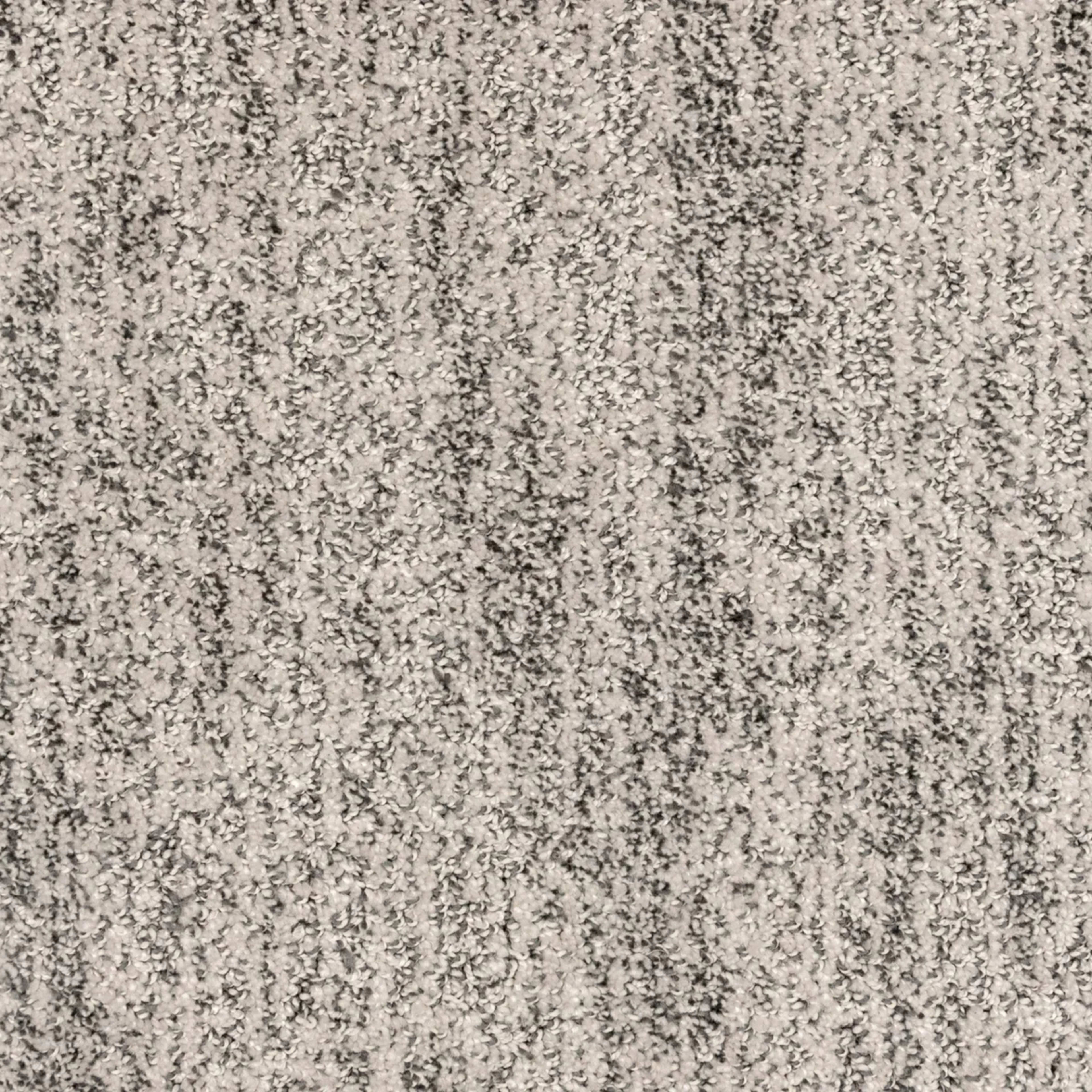 Lionel in Graphite Carpet