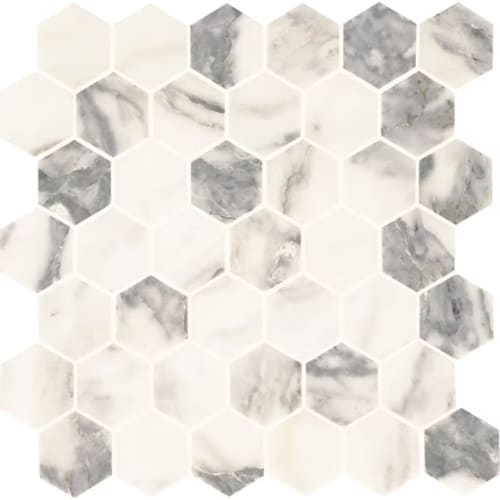 Eclessia Marble in Arabescato Argento Hexagon