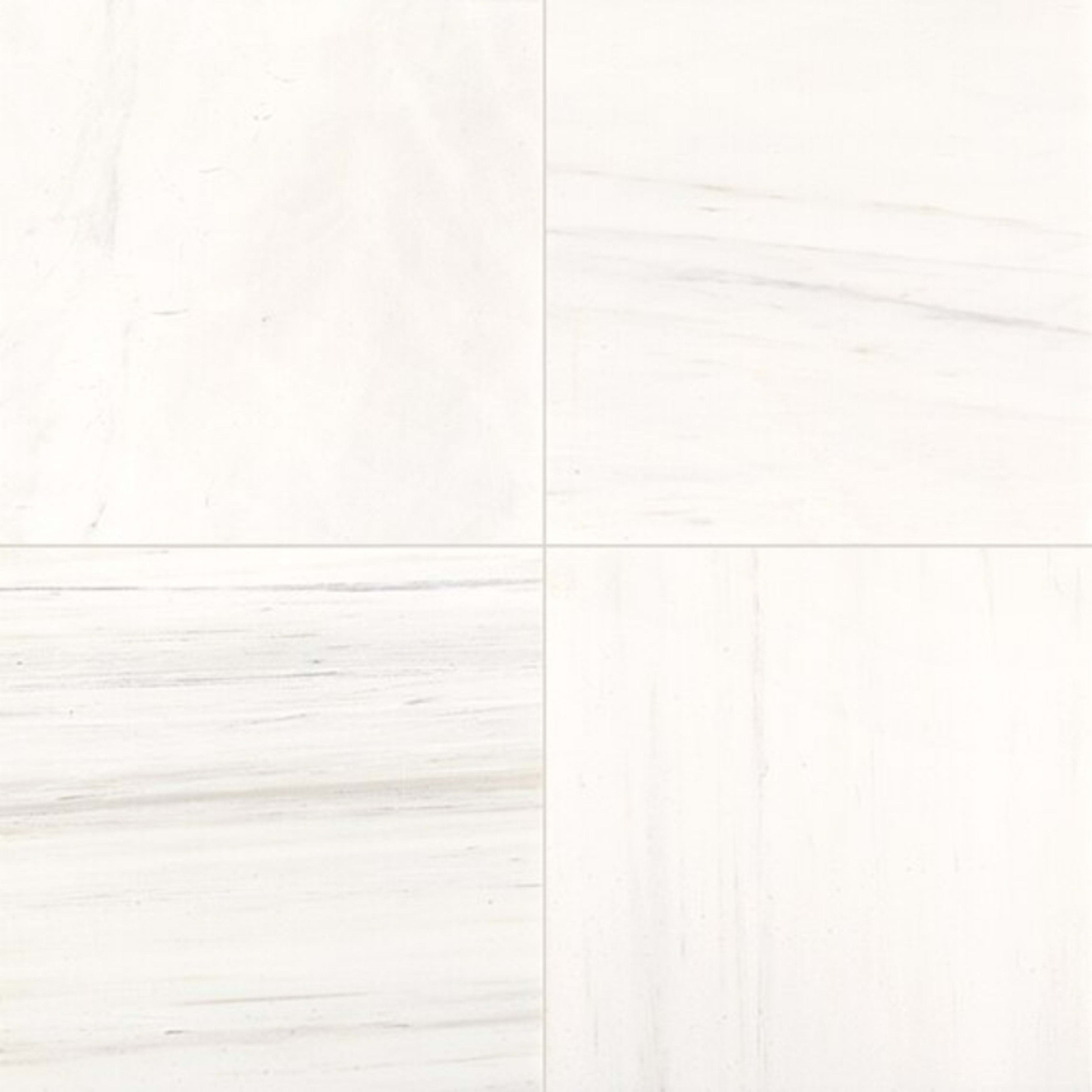 Marble in Contempo White-12x12 Natural Stone