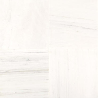 Marble in Contempo White-12x12 Natural Stone