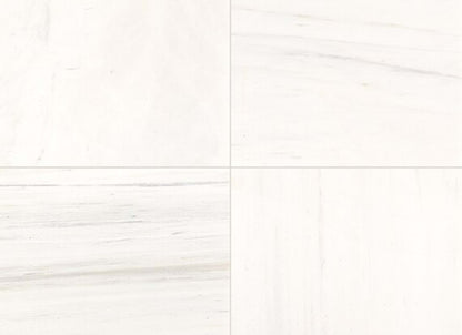 Marble in Contempo White-12x24