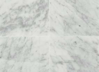 Marble in Carrara White-12x24-Honed
