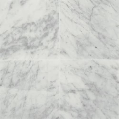 Marble in Carrara White-12x24-Polished