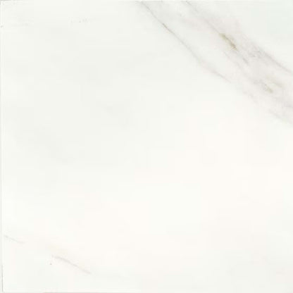 Mirasol in Bianco Carrara-24x24 Tile