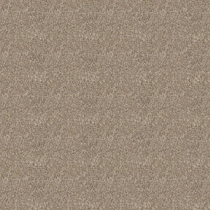 Elevated I in Soft Sand Carpet