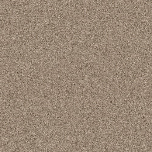 Elevated Ii in Summer Straw