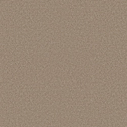 Elevated Ii in Summer Straw