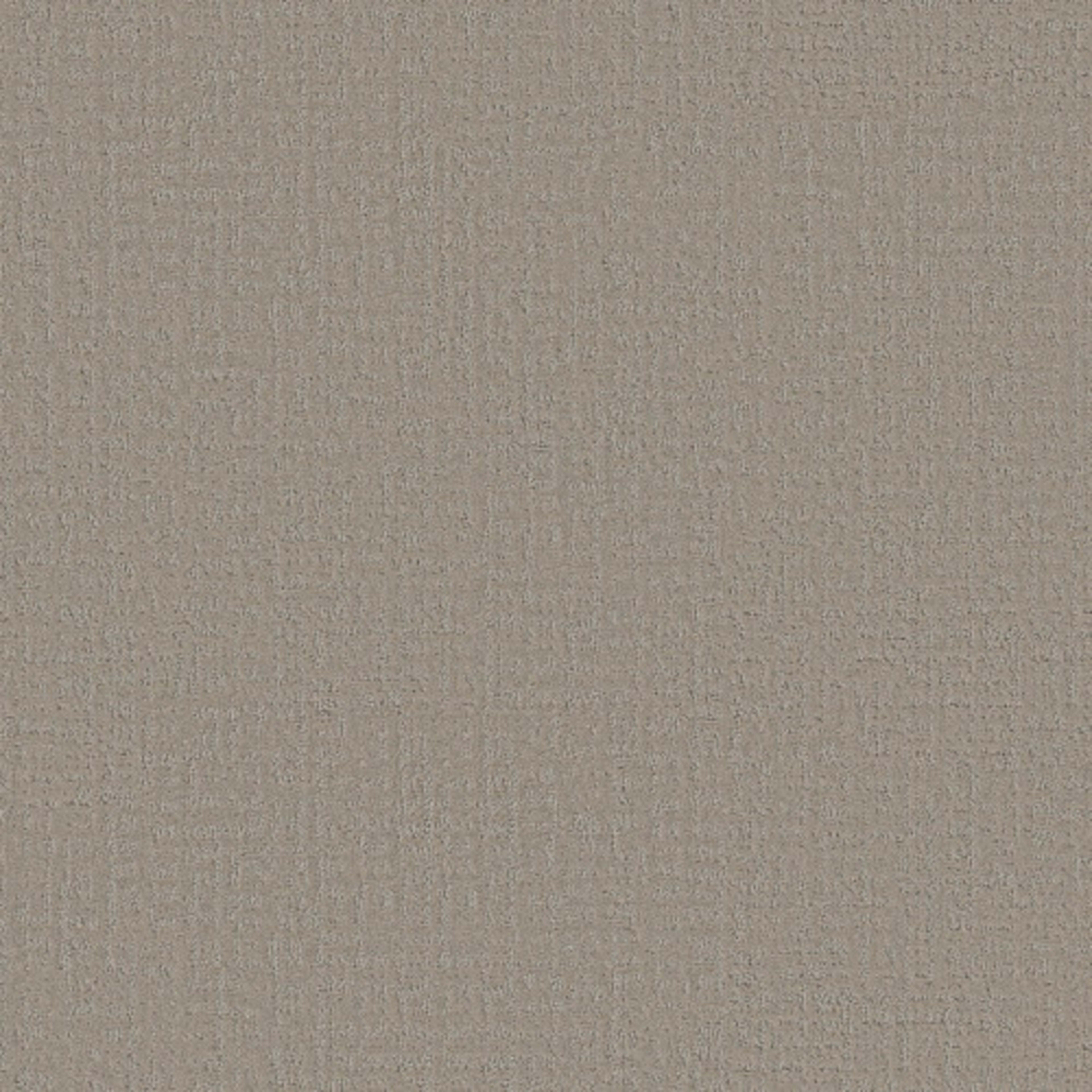 Studio Plaza in Sandstone Carpet