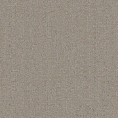 Studio Plaza in Sandstone Carpet