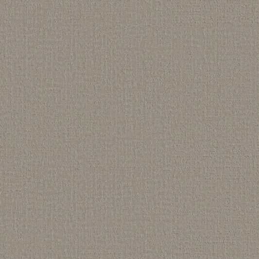 Studio Plaza in Sandstone Carpet