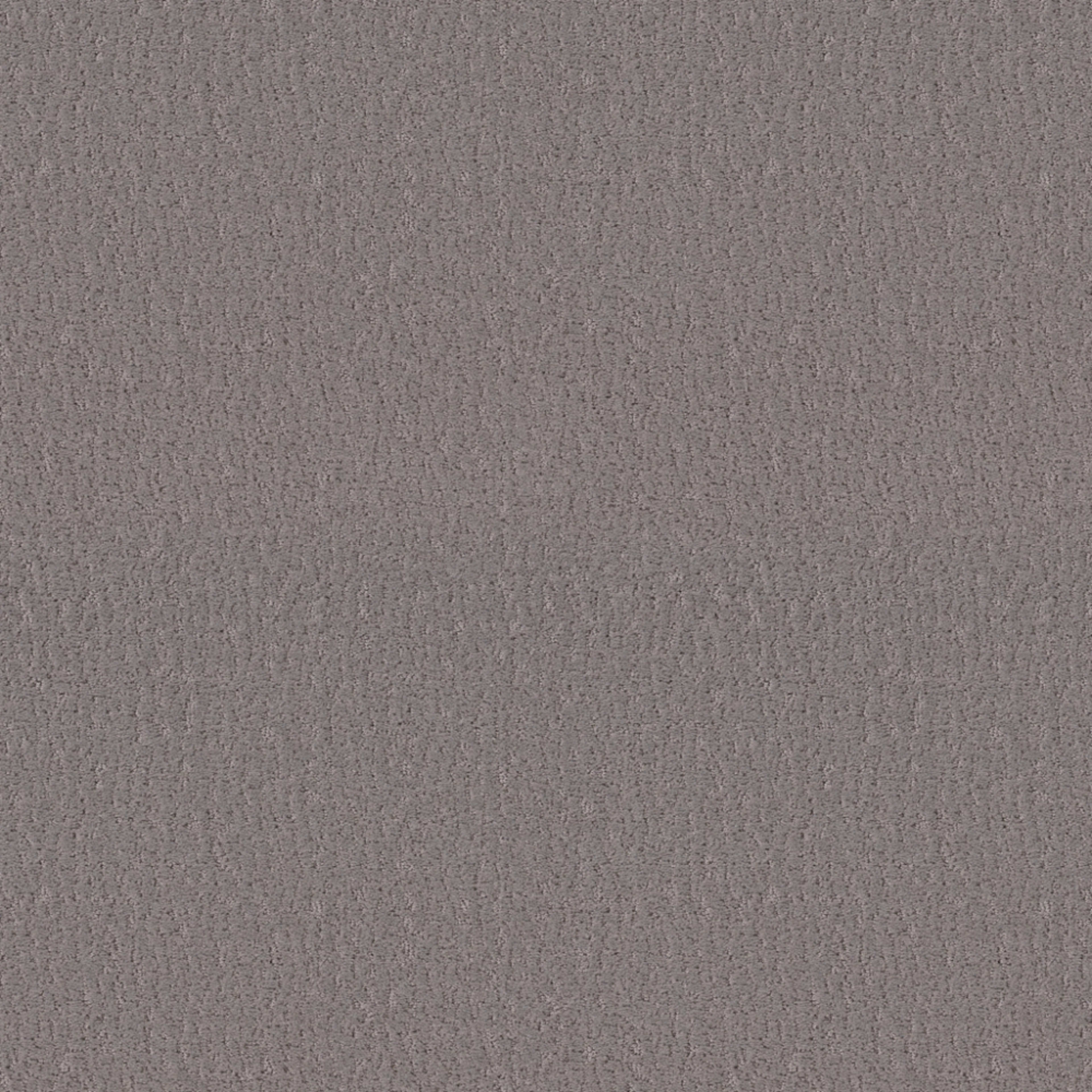 Studio Set in Fallen Acorn Carpet