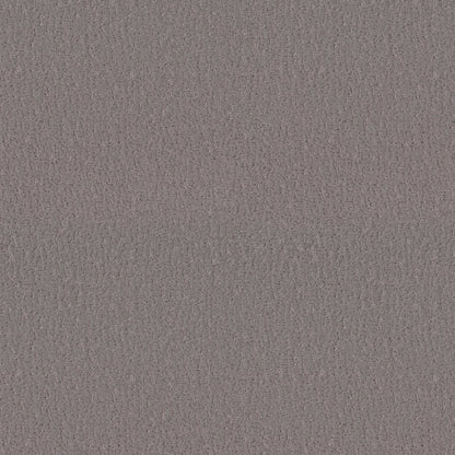 Studio Set in Fallen Acorn Carpet