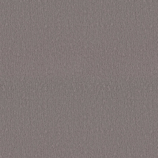 Studio Set in Fallen Acorn Carpet