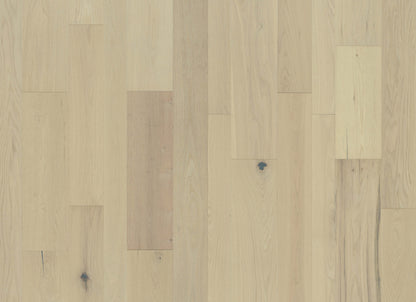 Monterey Hardwood in Appaloosa