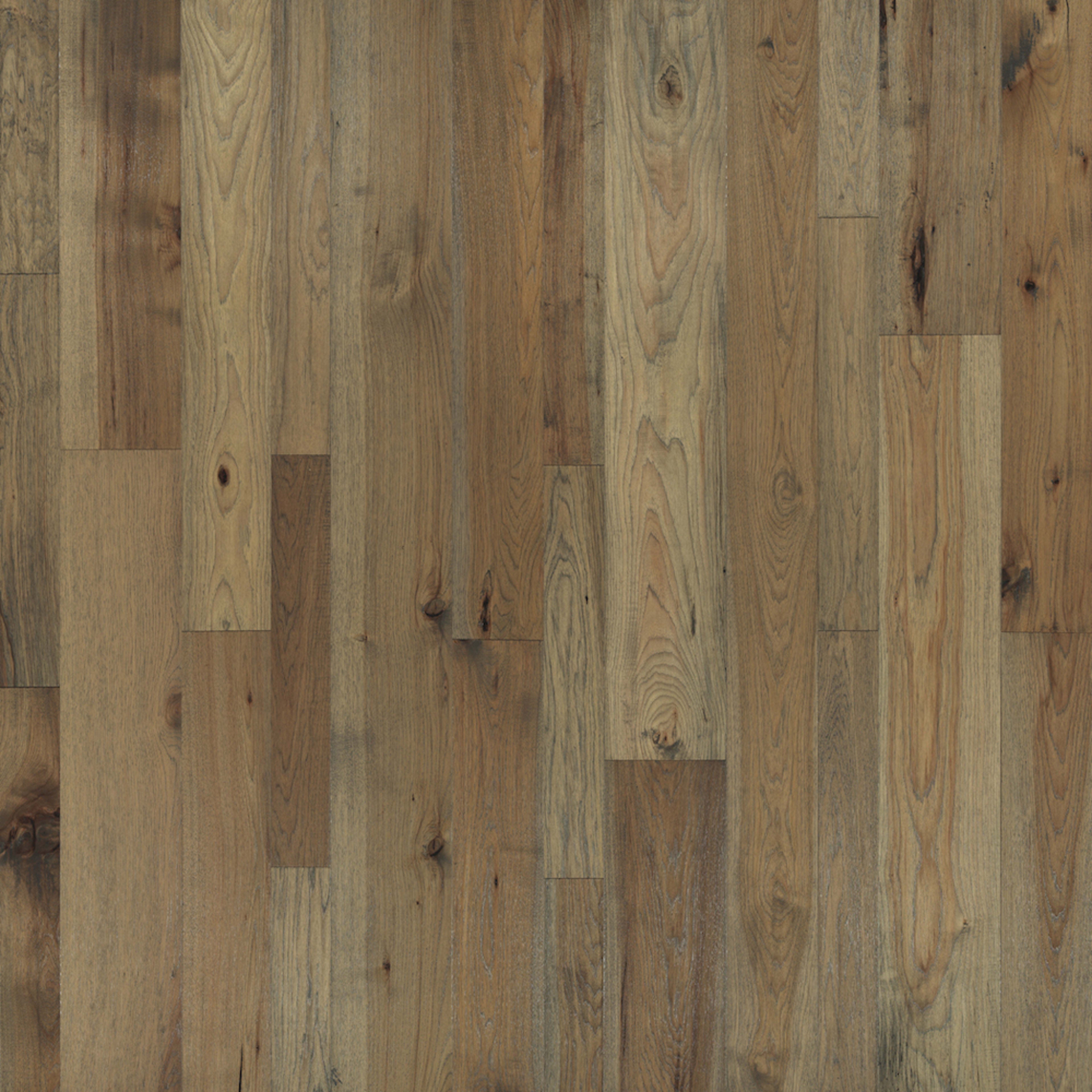 Monterey Hardwood in Palomino Hardwood