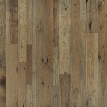 Monterey Hardwood in Palomino Hardwood