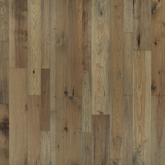 Monterey Hardwood in Palomino Hardwood