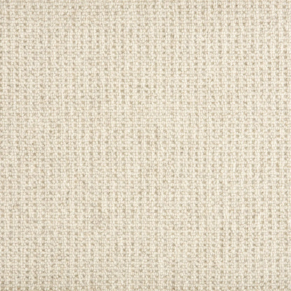 MIla in Cloud Carpet