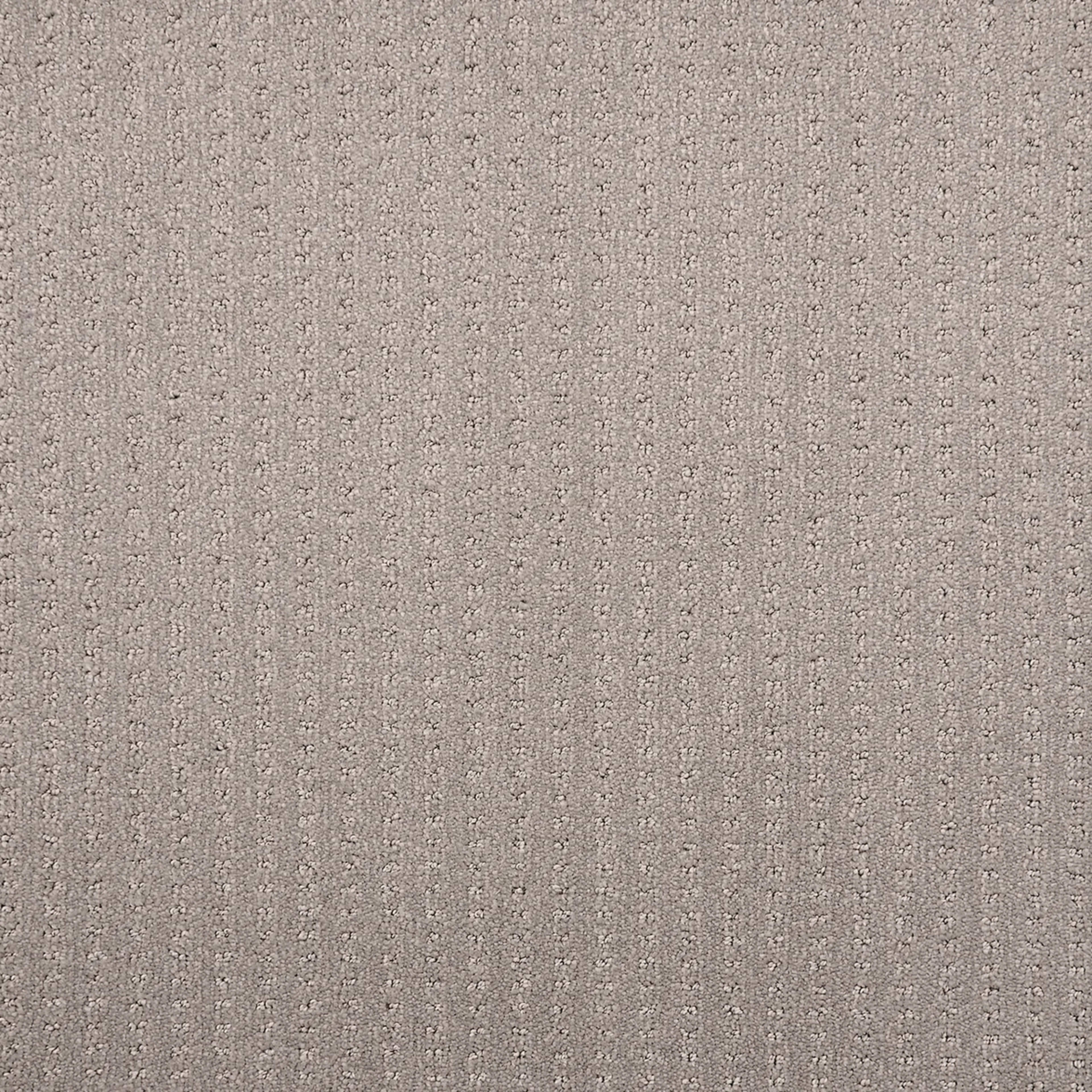 Merlin in Platinum Carpet