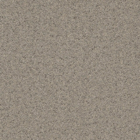 Windy City III in Moon Rise Carpet