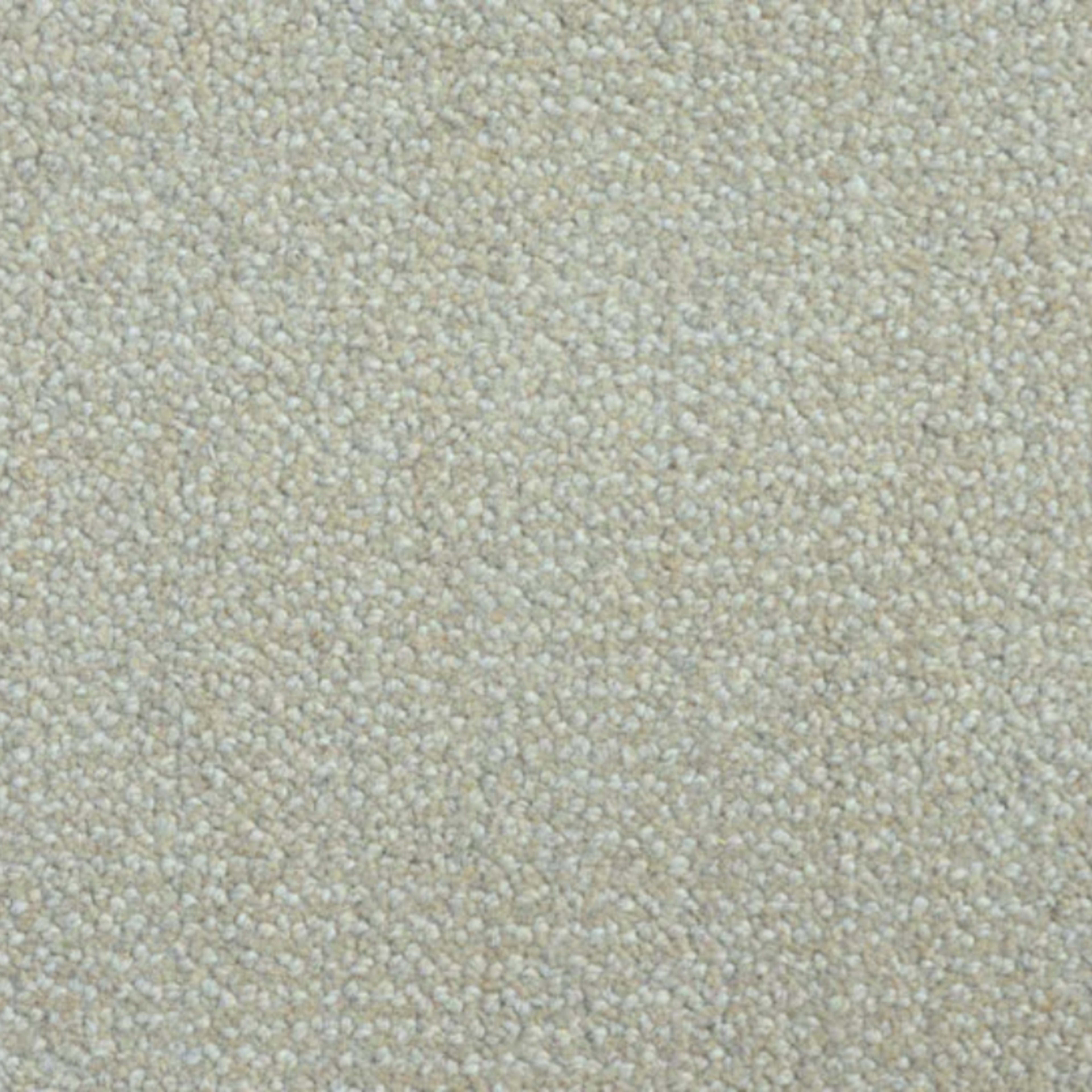 Nobility (cav) in Ash Carpet