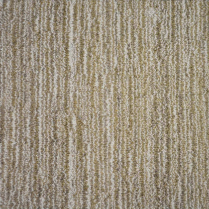 Nottingham in Fawn Carpet