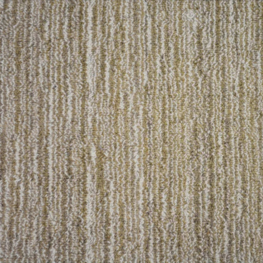 Nottingham in Fawn Carpet