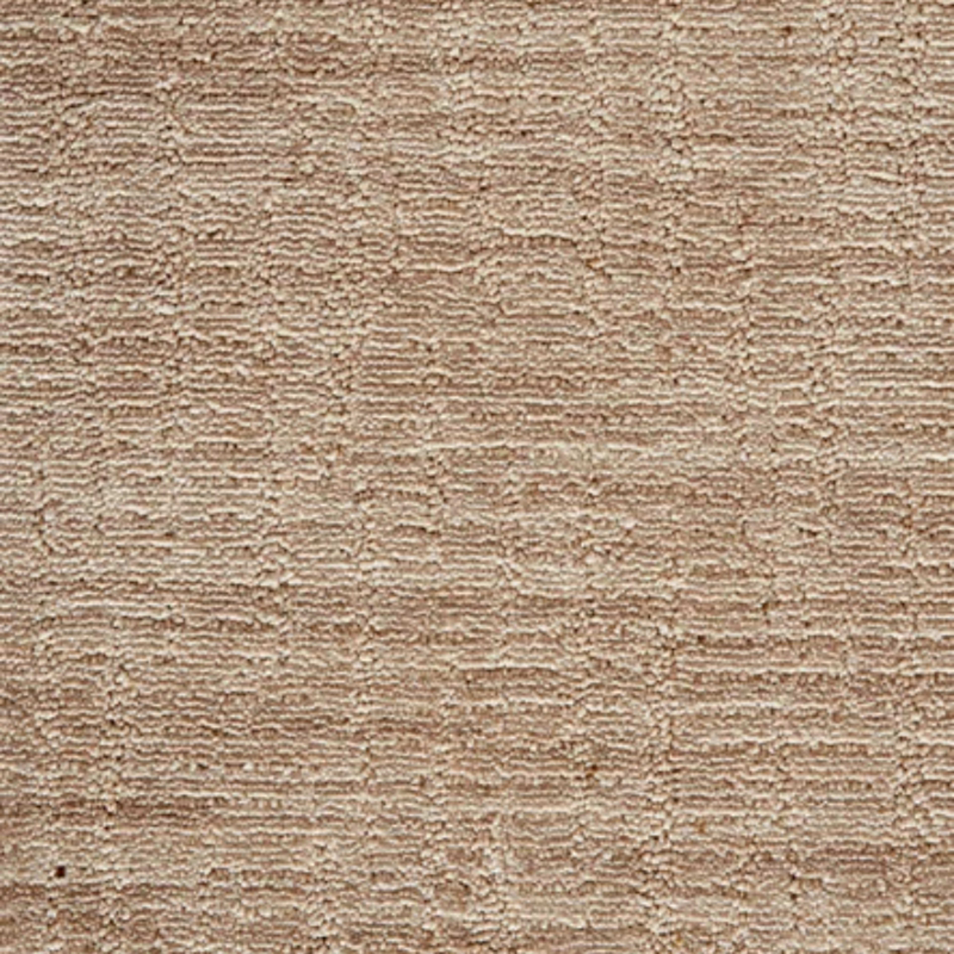 Novelty in Tan Carpet