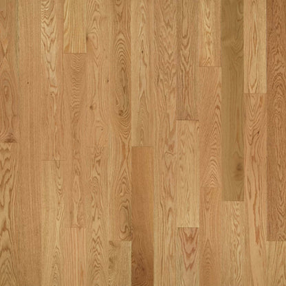 American Traditional Classics in Natural Red Oak 3.25" Hardwood