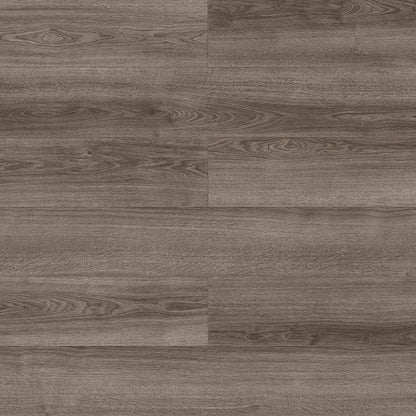 Visions in Nelson Laminate