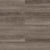 Visions in Nelson Laminate