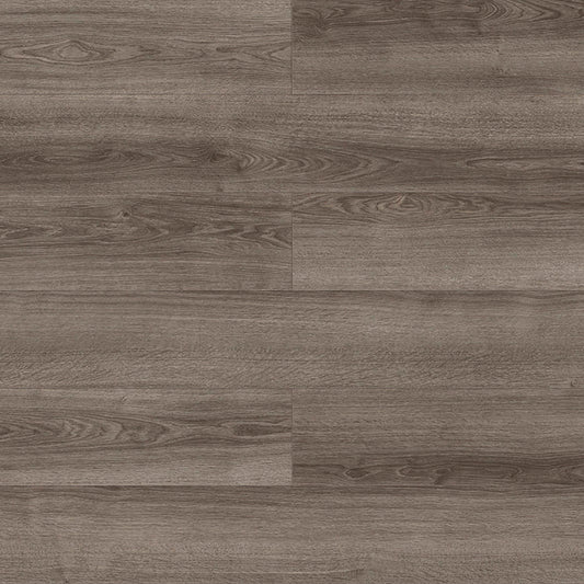 Visions in Nelson Laminate