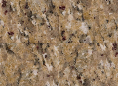 New Venetian Gold in New Venetian Gold - 12x12