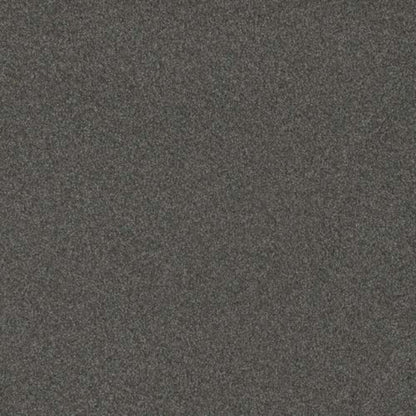 BLAZER I in Nitro Carpet