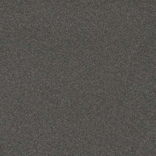 BLAZER I in Nitro Carpet