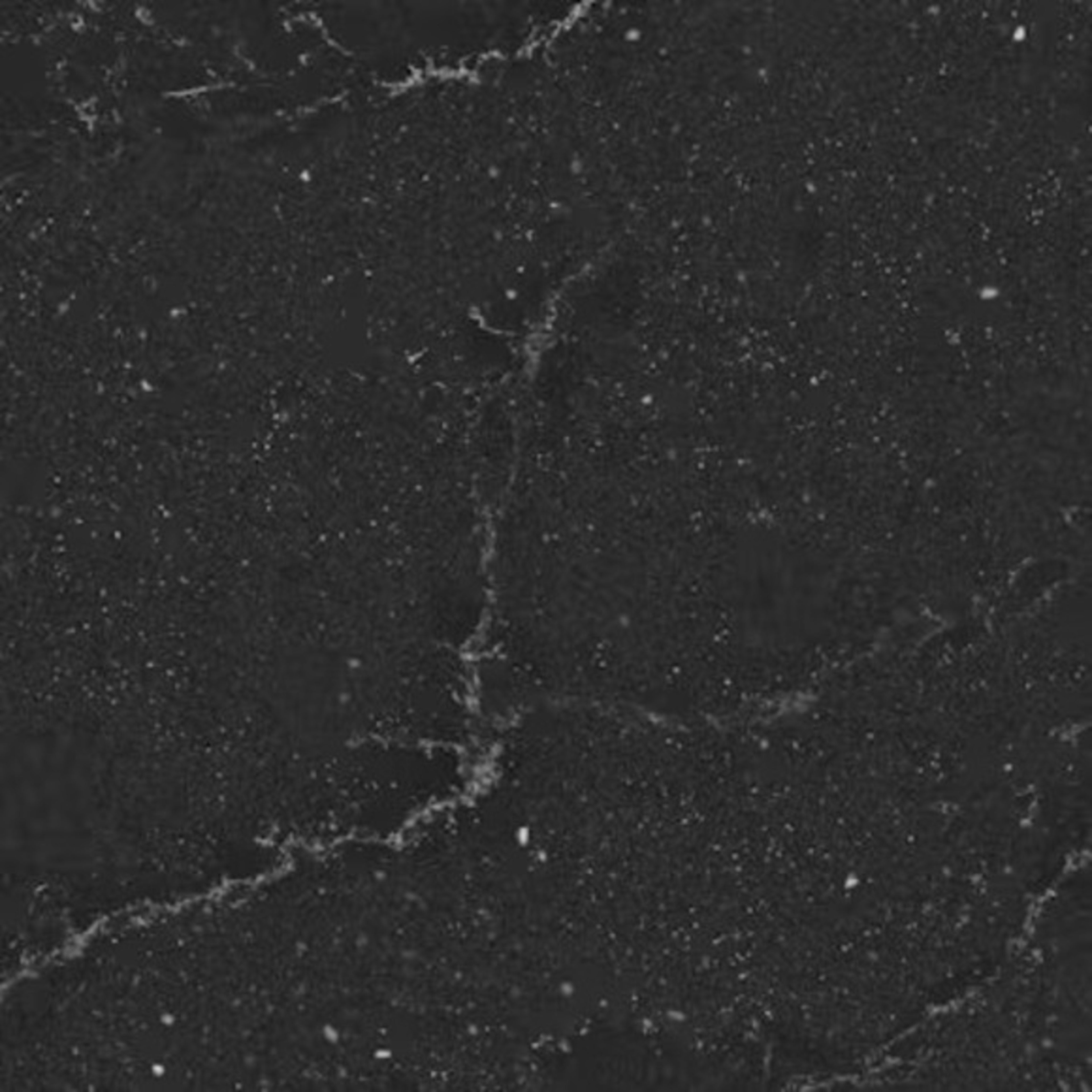 Silestone - Le Chic in Romantic Ash Solid Surface