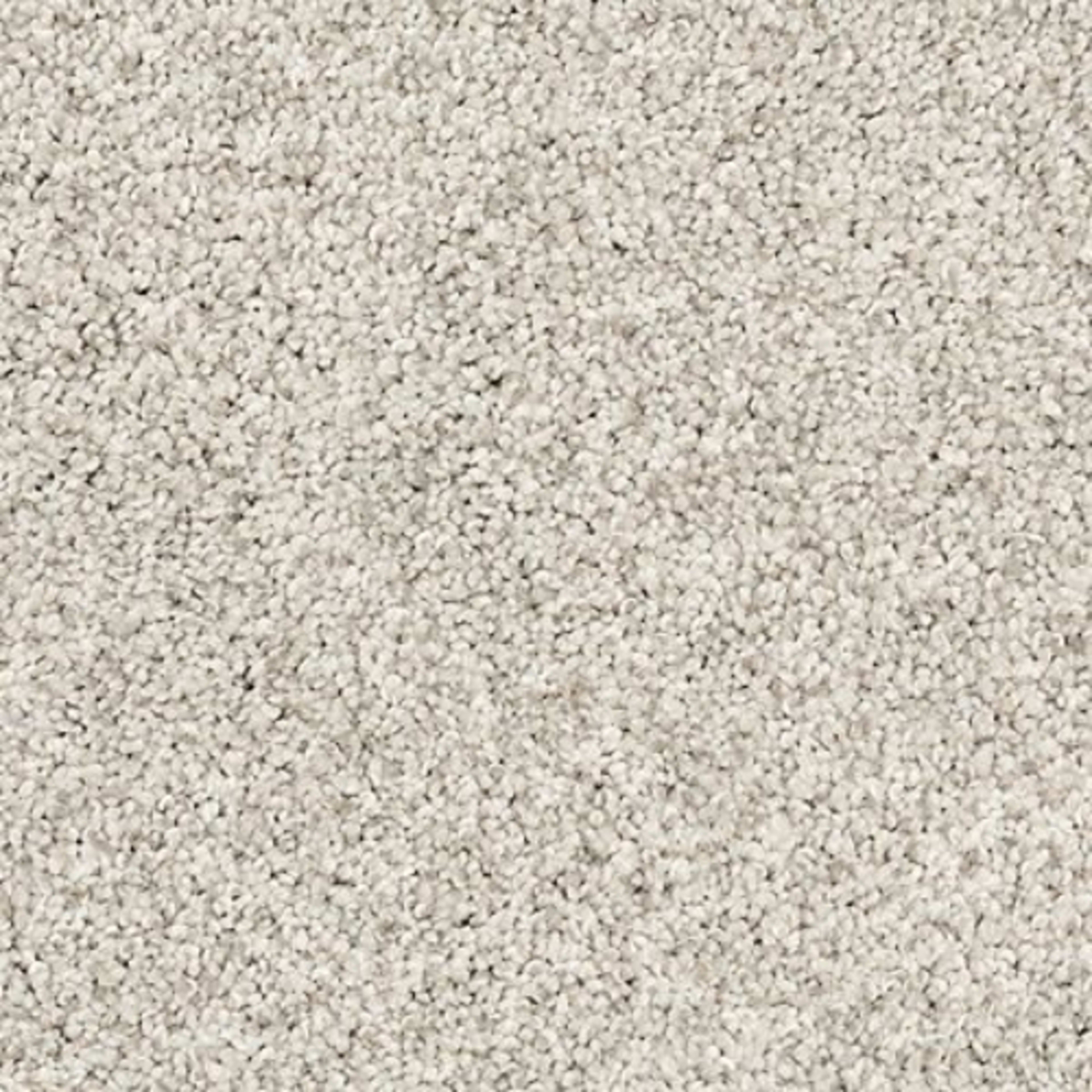 Canine Luxe in Grey Whisp Carpet