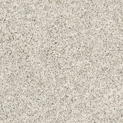 Canine Luxe in Grey Whisp Carpet