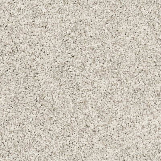 Canine Luxe in Grey Whisp Carpet