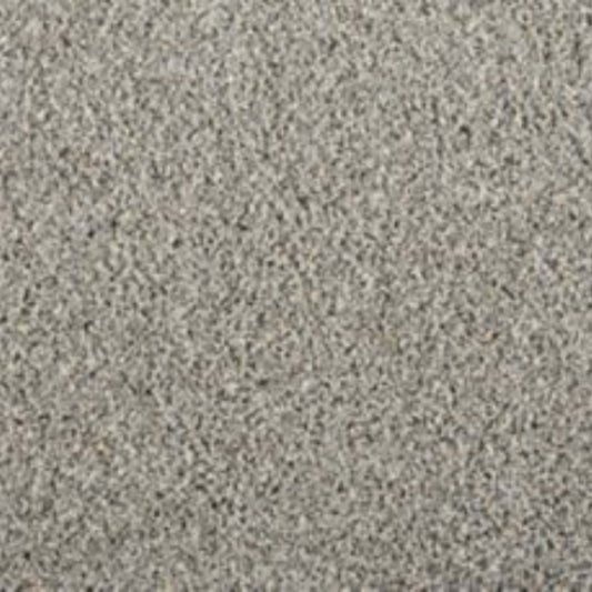 Reviving II in North Wind Carpet