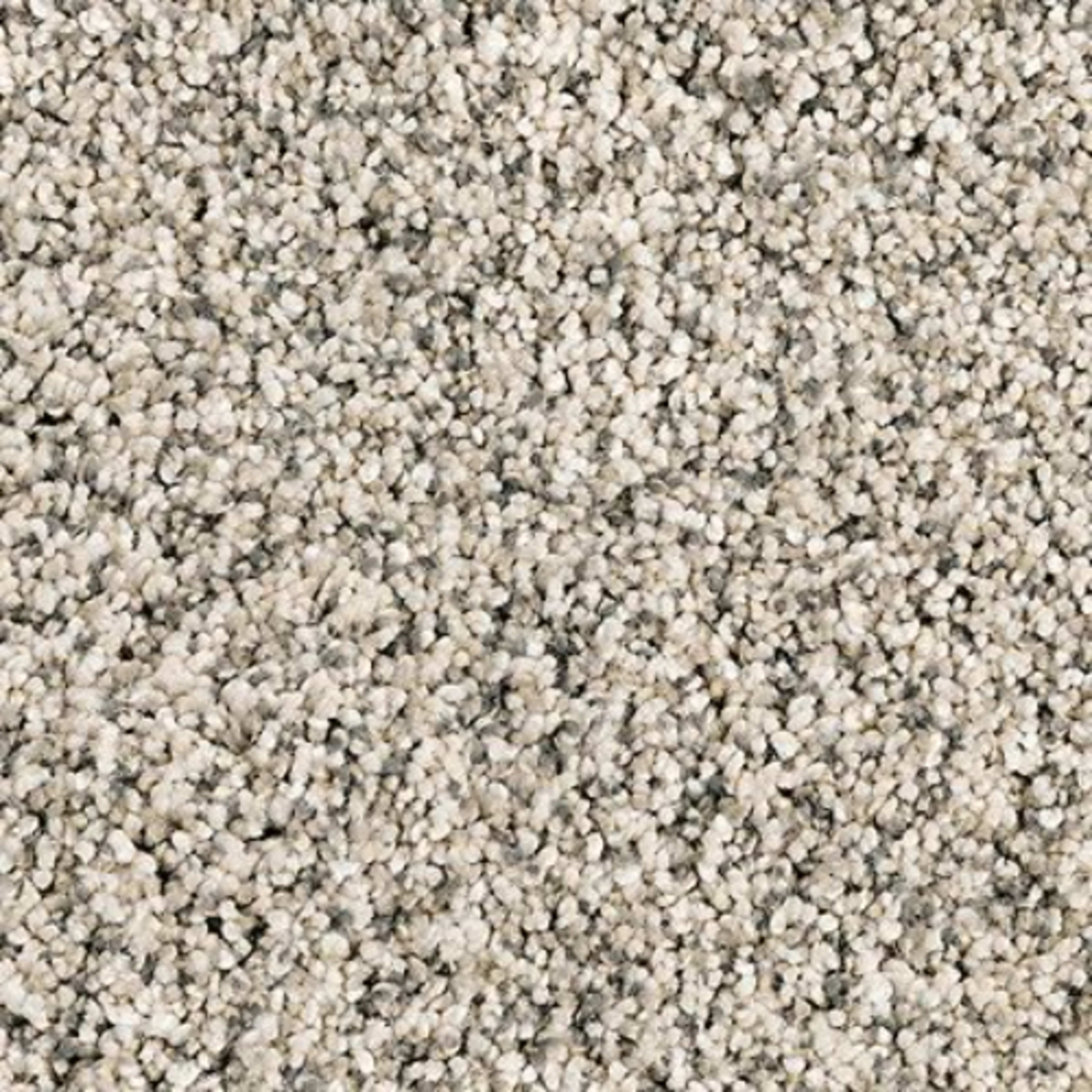 Essential Factors I in Silver Dollar Carpet